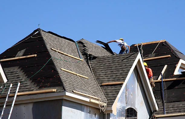 Best Local Roofing Companies  in Elim, PA